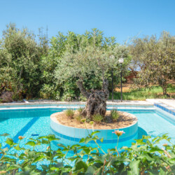 Villa with pool in Agia Marina, Chania - Gabriele