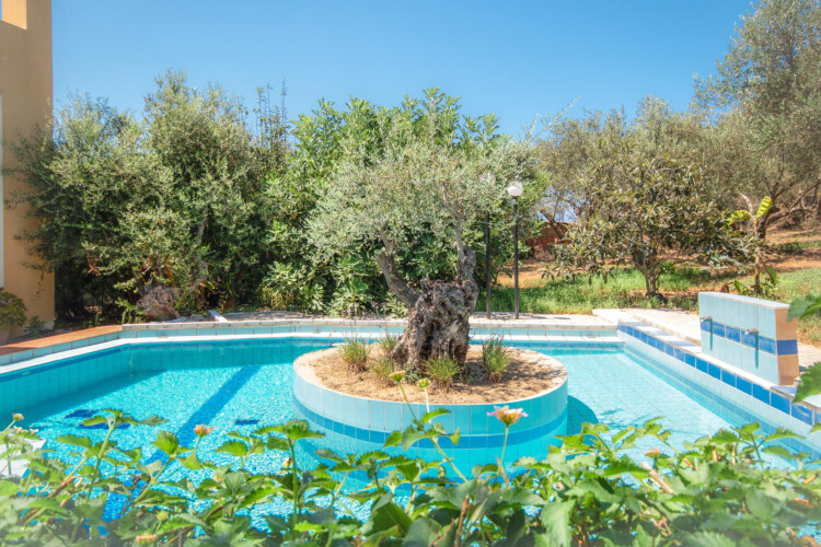 Villa with pool in Agia Marina, Chania - Gabriele