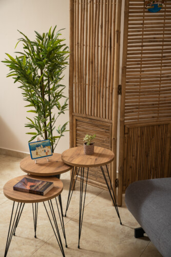 Harmony Apartment in Chania